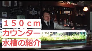 【長さ１５０ｃｍ！】カウンター水槽の紹介