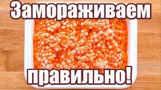 Можно ли заморозить красную икру для хранения? Как правильно хранить икру в морозилке?