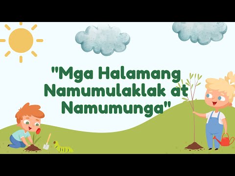 Video: Nagbubunga ba ang mga nangungulag na puno?