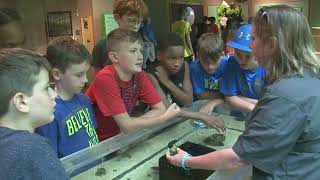 Summer Camps at Mississippi Museum of Natural Science