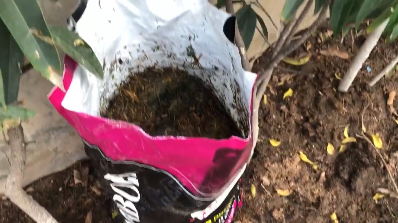 Compost casero en bolsas Parte 2