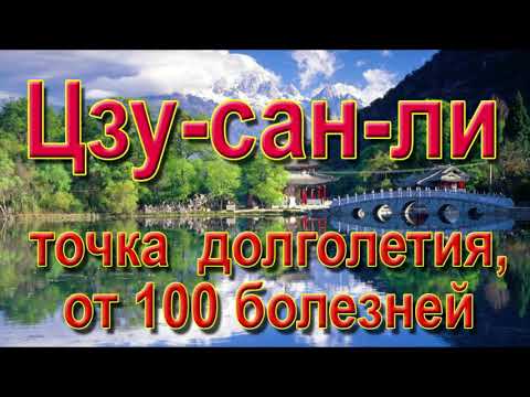 Главные точки для лечения - 1. Точка Цзу-сан-ли, точка долголетия от 100 болезней