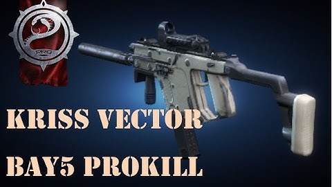Contract Wars - Vector Prokill - Bay5