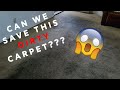 Extreme Carpet Cleaning Transformation ! | MUST WATCH | !!