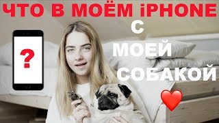 ЧТО В МОЁМ iPHONE С МОЕЙ СОБАКОЙ!!!!!!