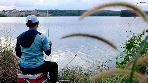 Câu Đài Tự Nhiên | Đập Đá Bàn - Tân Uyên | Mồi câu cá Khó Chịu