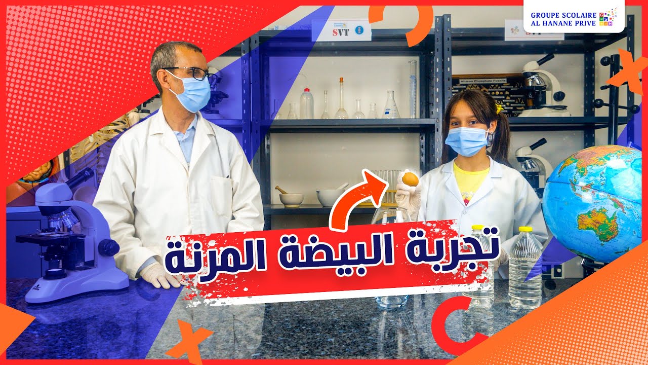 L'expérience de l'œuf rebondissant