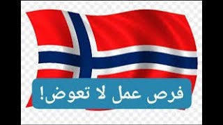 Norvege فرصة عمل في النرويج 2021