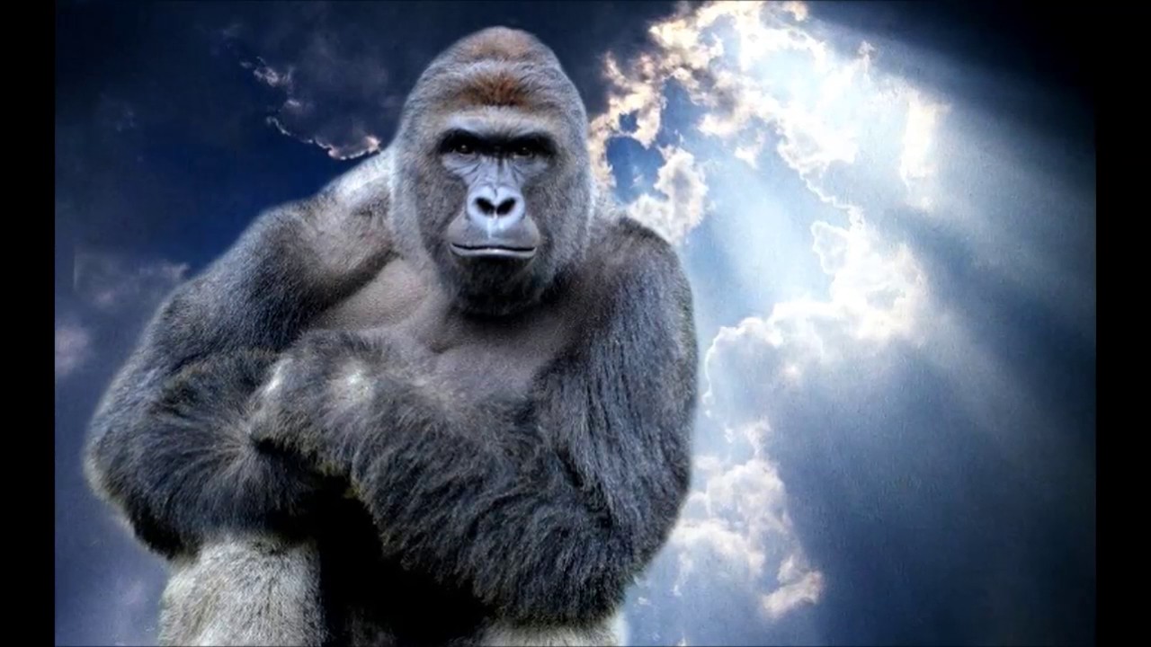 Leafy clones cringe compilation #1