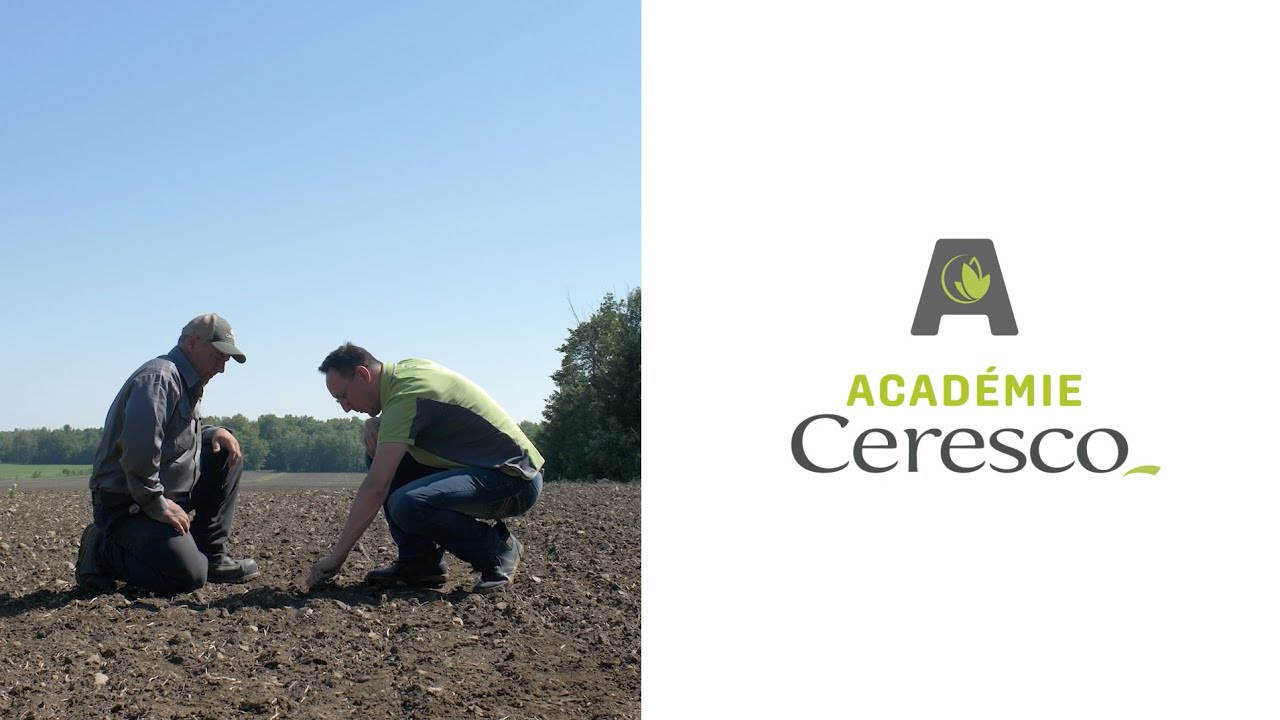 Ceresco Academy | Insects and diseases - YouTube