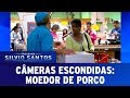 Pig Grinder Hidden Cameras 11 26 17 