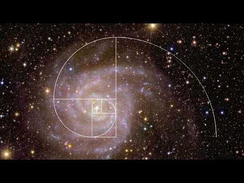 New Exciting Discovery in Science ~ The Fibonacci Sequence combined with the Flower of Life! Wow!