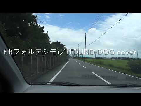 fｆ(フォルテシモ)／HOUND DOG cover