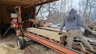 Big white Pine logs on the mill. Making diy fence slats!