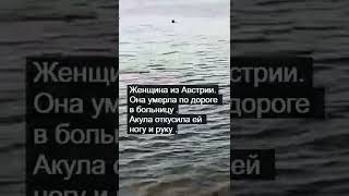 Акула напала на женщину Египет Хургада отель Тропитель Сахл Хашиш 2022 год 
