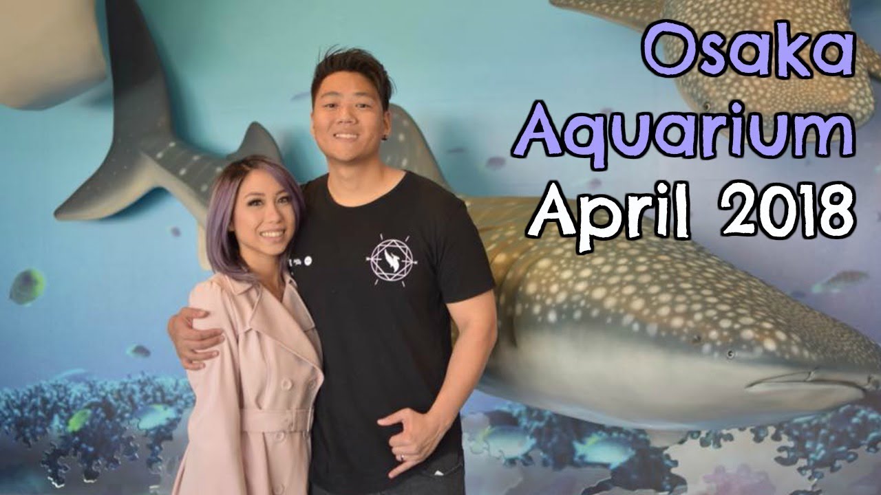 Osaka Aquarium April 2018