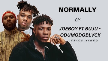 Normally by Joeboy ft BNXN fka Buju Odumodublvck lyrics video