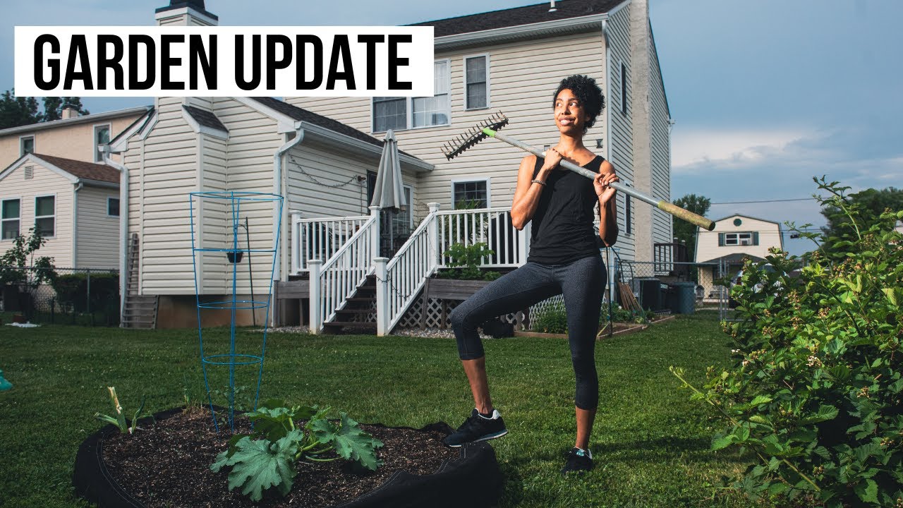 MINIMALIST GARDEN TOUR: mid-summer update!