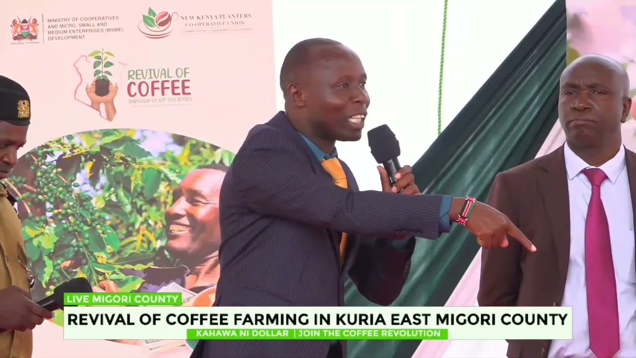 REVIVAL OF COFFEE FARMING IN KURIA EAST MIGORI COUNTY 