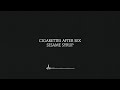 Sesame syrup  cigarettes after sex lyrics 4k