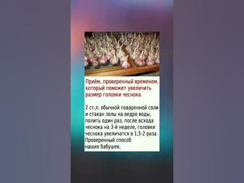 Полезно знать #полезныесоветы #здоровье #полезнознать #польза - YouTube