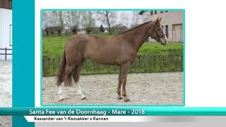 Santa Fee van de Doornhaag -