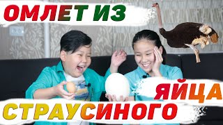 ДЕТСКИЙ ОБЗОР: ОМЛЕТ ИЗ СТРАУСИНОГО ЯЙЦА