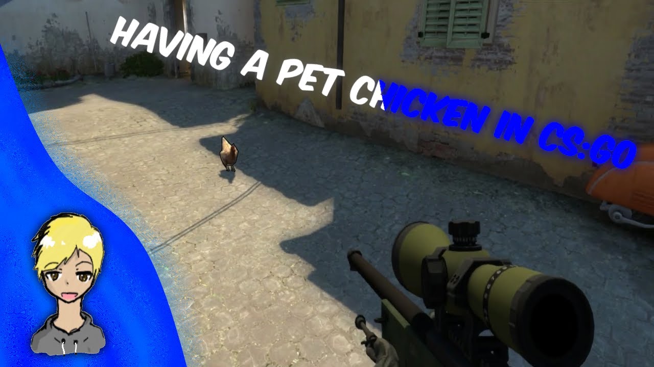 CS:GO HAVING A PET CHICKEN! - YouTube