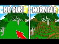 E SE MINECRAFT NON AVESSE SOLTANTO CUBI? - Minecraft ITA