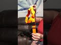 TOUGH DOG Dog Harness