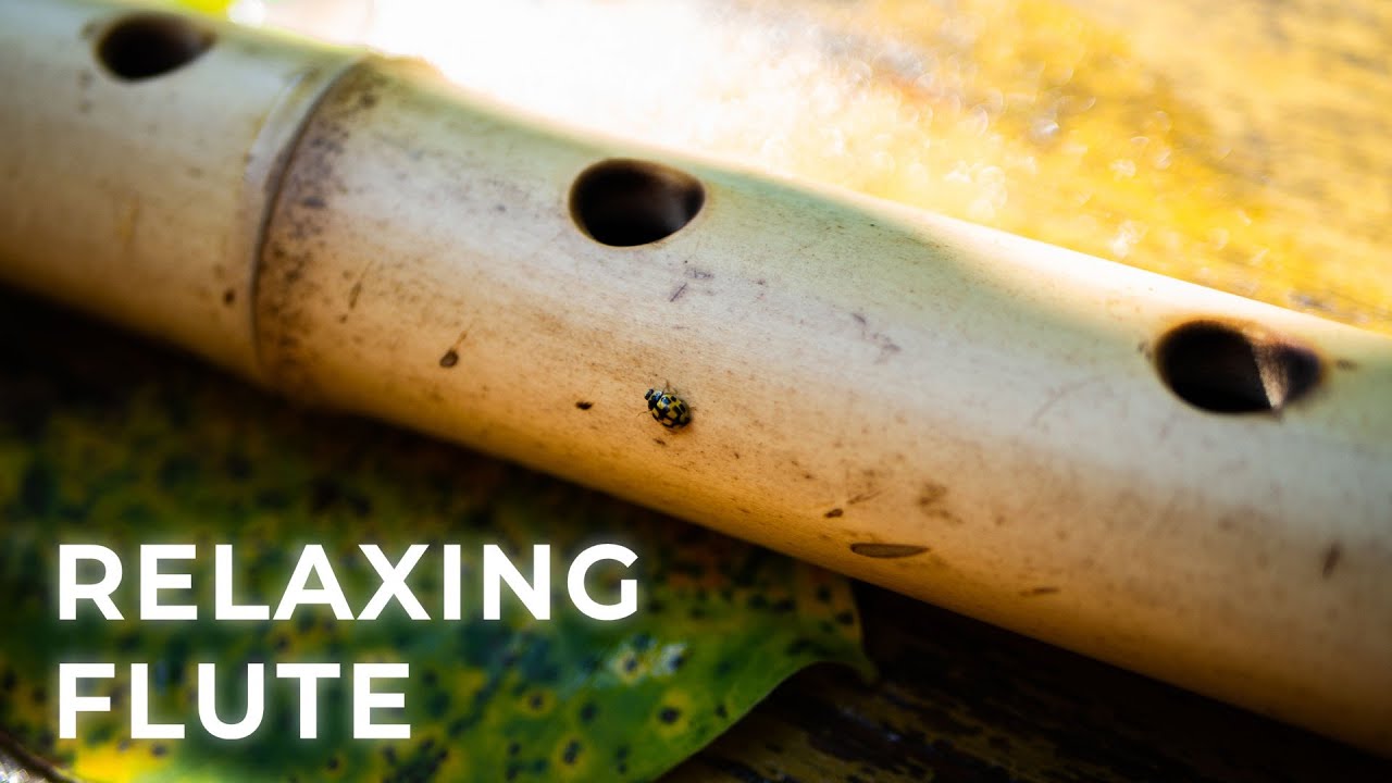 Relaxing Flute Music ★ Relax or Fall Asleep To Beautiful and Soothing