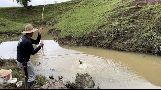 As água nem baixaram e as monstras já apareceram, pescaria de traíras!!!