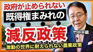 【危機】政府が止めない既得権まみれの減反政策に警告！激変する世界環境に耐えられない日本の農業政策の問題点を解説【日本人が飢える時代がやってくる!?】