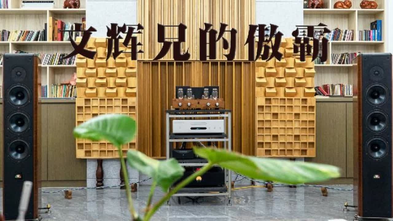 音响闲间日记06：文辉兄的傲霸。#hifi #音响 #发烧友 #现场录音 #平凡生活