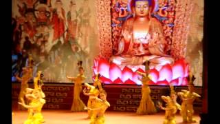 ✈️CHINA: Spring Outing Dance