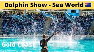 Dolphin Show Live  Sea World Gold Coast  Australia  Affinity Dolphin Presentation