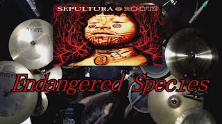 Sepultura - "Endangered Species" Drum Cover