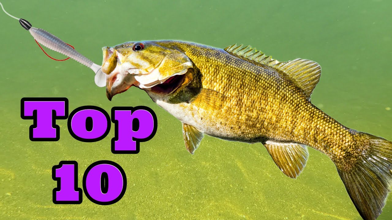 My Best Swimbait Catches