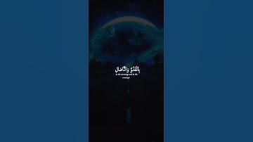 اكتب شيء تؤجر عليه 😴🩶 | قران كريم | ياسر الدوسري