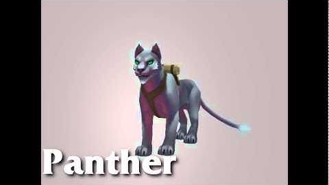 The Pets of Torchlight II