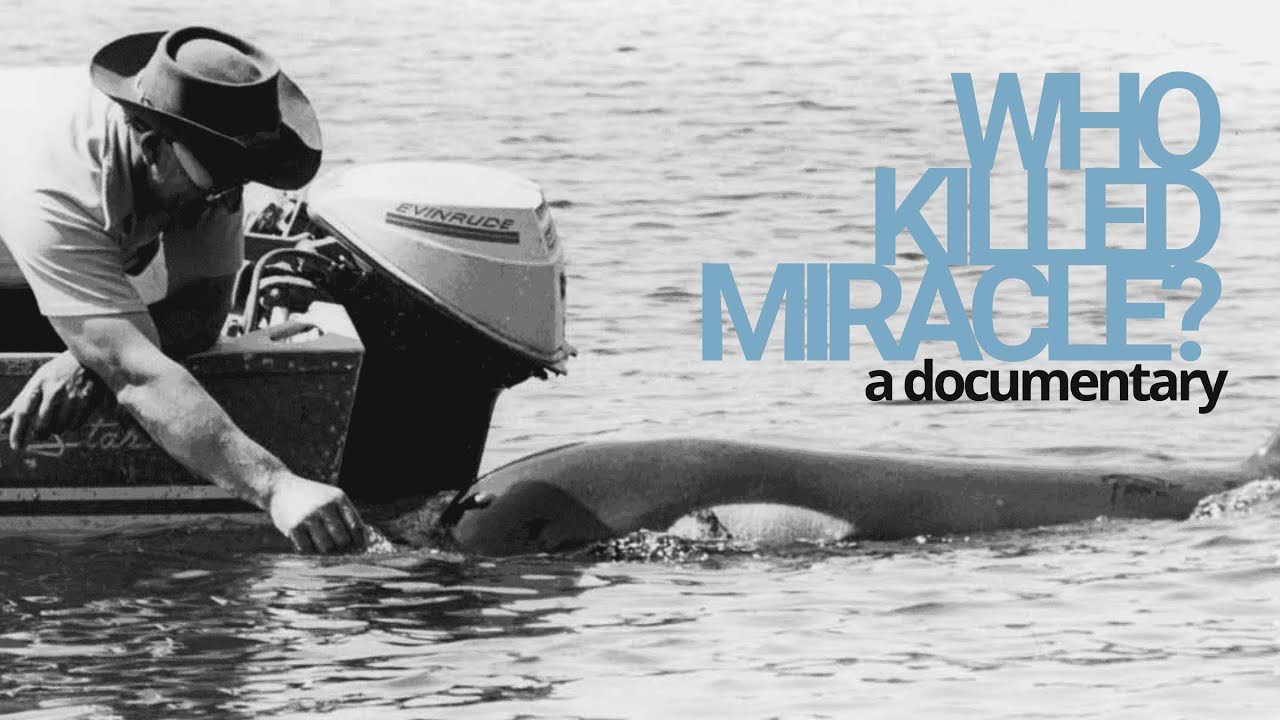 Who Killed Miracle? (Clip)