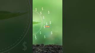 How To Budget & Manage Your Money (Best Financial Advice)