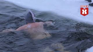 Заплыв моржей в Апатитах