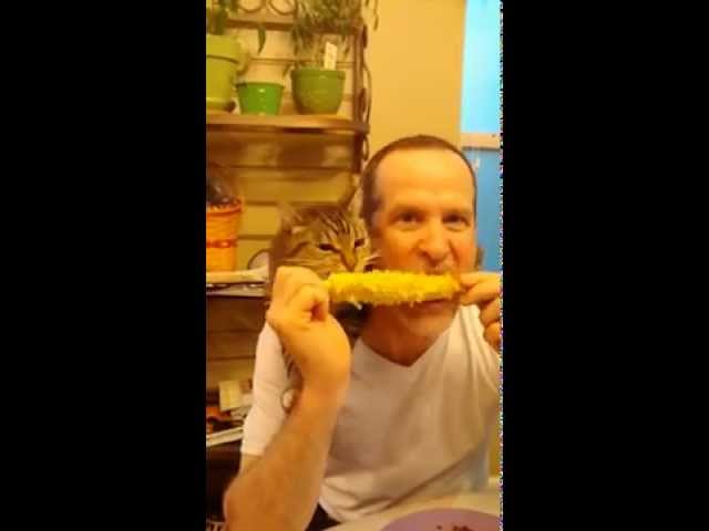 Corny Cat