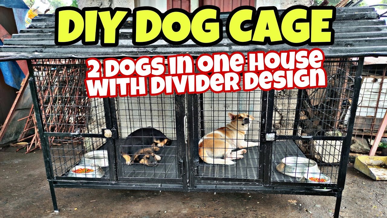 diy dog travel cage