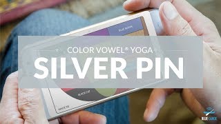 Color Vowel focus - SILVER PIN