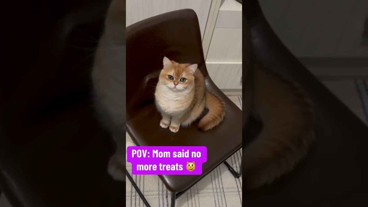 The disappointment is real.