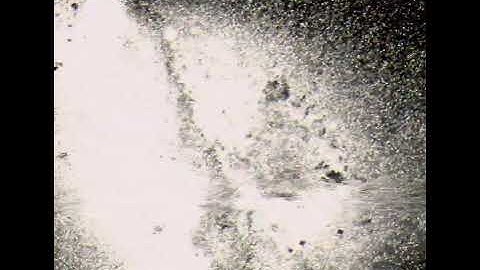 This is just the beginning|official/original music