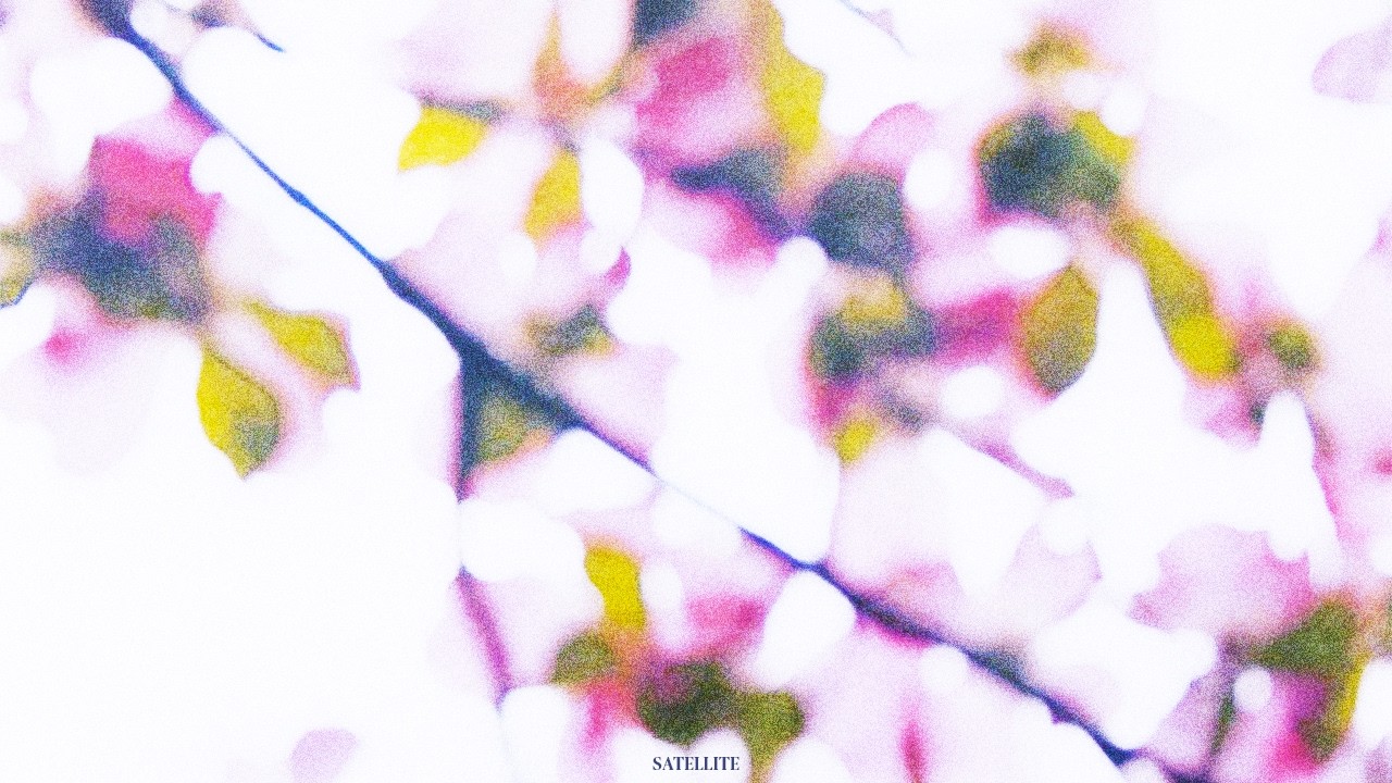 PLAYLIST: 춘분을 향해서.