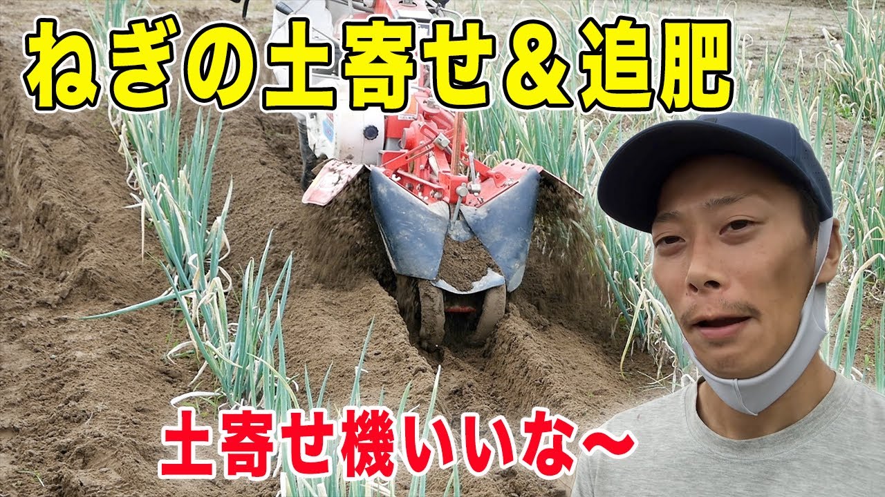 ねぎの土寄せ＆追肥の様子【越津ネギ】 - YouTube